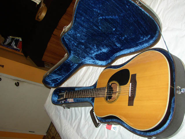 Alvarez_twelve_string_case_opened2