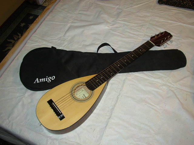 Amigo_Travel_six_string_with_bag