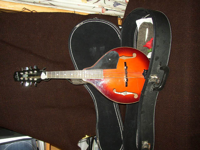 Epiphone_mandolin_standing_in_case
