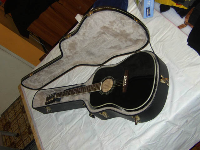 Harmony_six_string_in_case