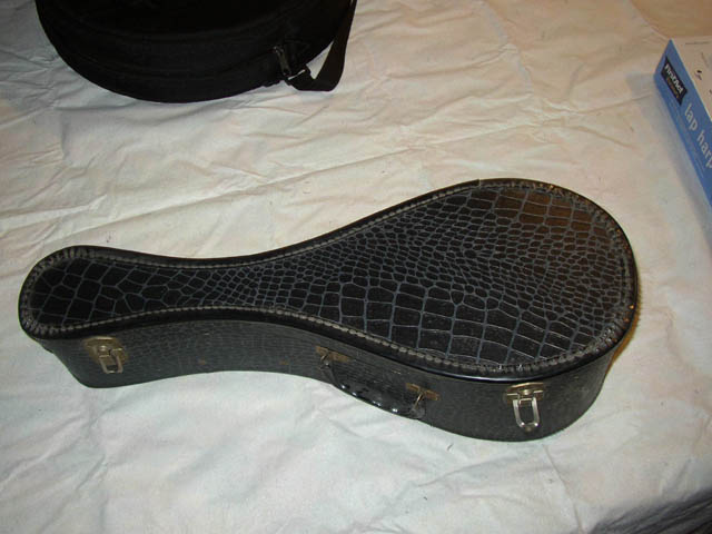 Lyons_and_Healy_Taterbug_mandolin_case_closed