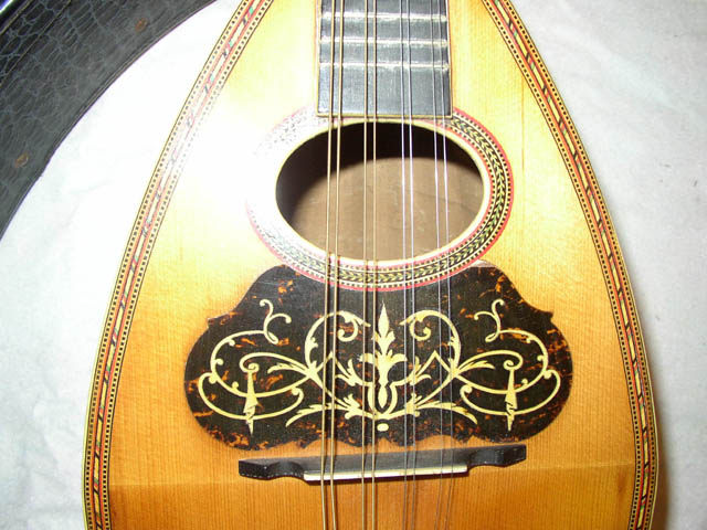 Lyons_and_Healy_Taterbug_mandolin_closeup