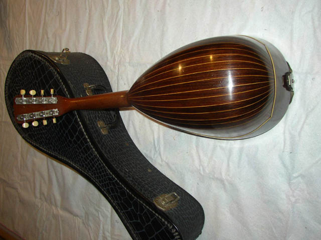 Lyons_and_Healy_Taterbug_mandolin_with_case_back