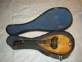Lyons_and_Healy_Taterbug_mandolin_in_case
