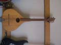 Unknown_maker_octave_mandolin_front